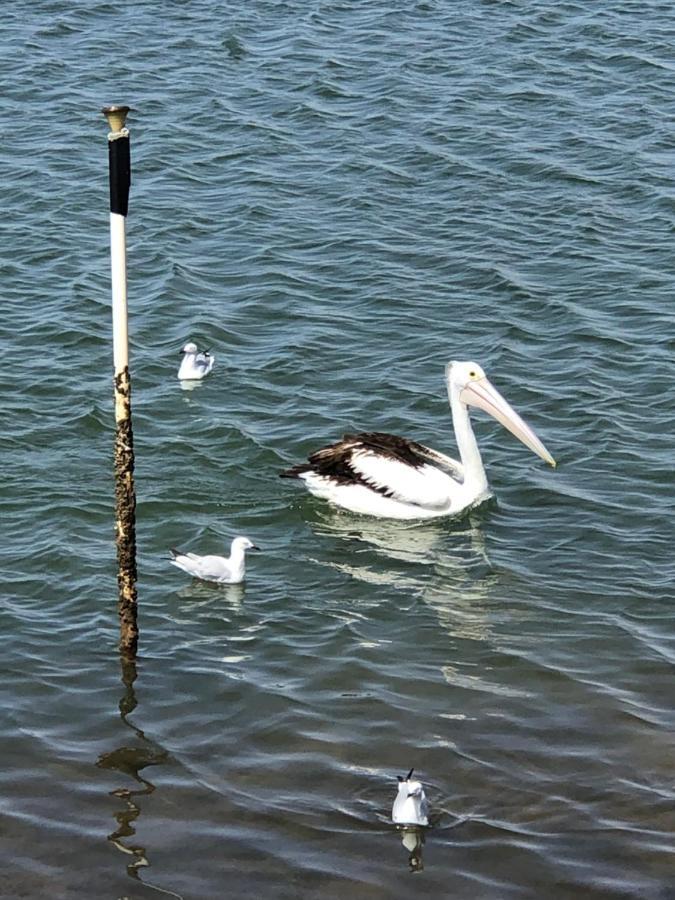 Pelican Point Waterfront Resort Formerly Carnarvon Beach Retreat Bagian luar foto